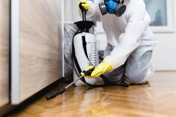 Trusted Chase, PA Pest Control Experts