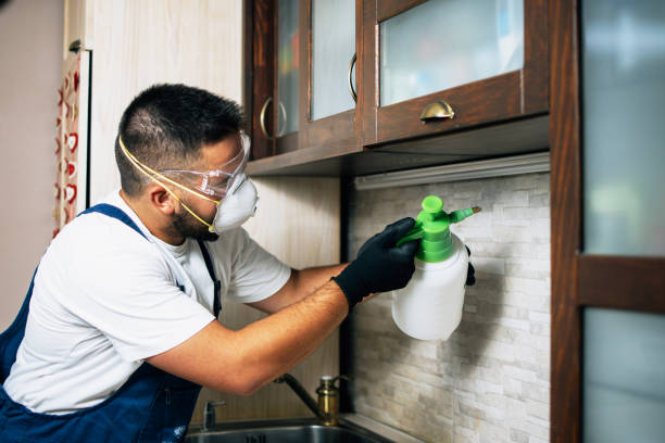 Flea Control Services in Chase, PA