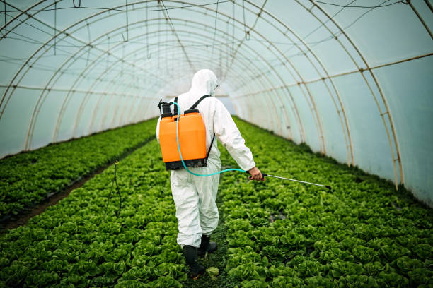 Best Best Pest Control Companies  in Chase, PA