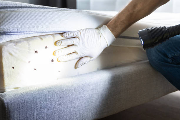 Best Commercial Pest Control Services  in Chase, PA