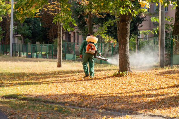 Best Wasp Removal Services  in Chase, PA