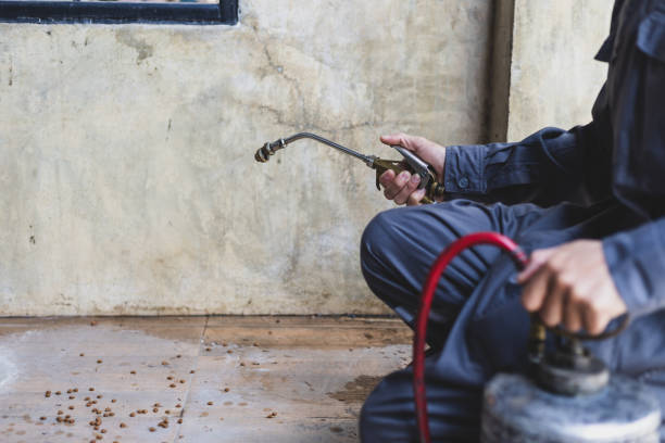 Best Pest Removal Services  in Chase, PA